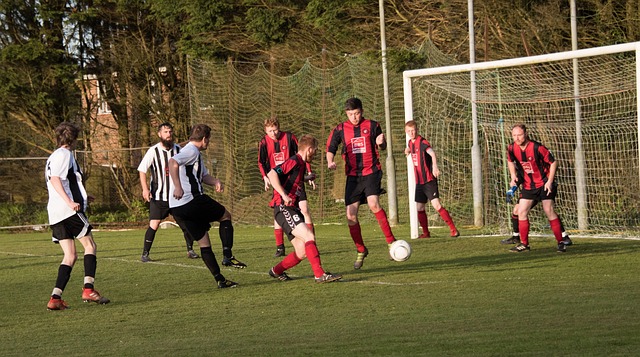 在追求冠军 在追求冠军