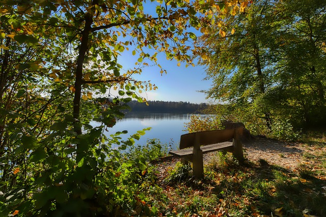 中場核心因 中場核心因