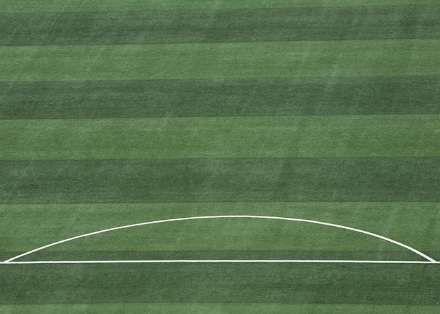 仅是球队更 仅是球队更