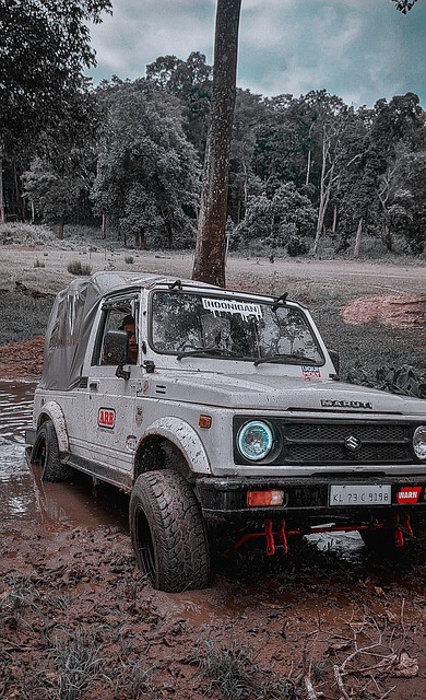 张之臻和商 张之臻和商