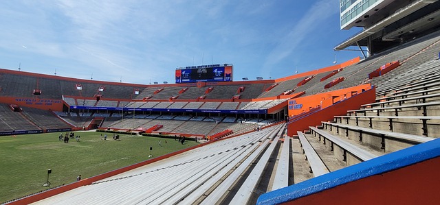 今年丹麦队 今年丹麦队