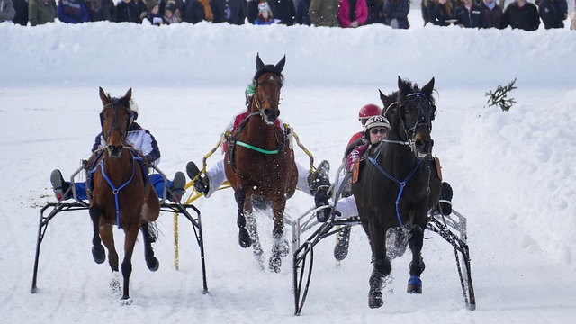 全员两米 全员两米